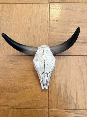 Decorative Bull Skull Wall Mount - White Skull with Black Horns